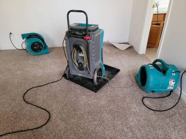 Best Water damage restoration near me  in Lake Meade, PA