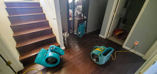Best Water damage repair service  in Lake Meade, PA
