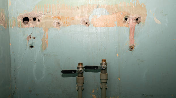 Best Water damage restoration specialists  in Lake Meade, PA